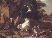 Melchior de Hondecoeter Birds and a Spaniel in a Garden (mk25) China oil painting reproduction